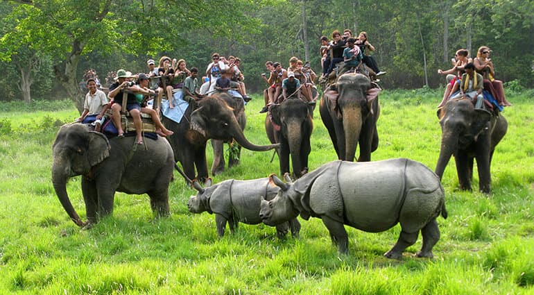 Jungle Safari (1 - 3 Days) | Nepal View Treks Jungle Safari | Nepal View Treks