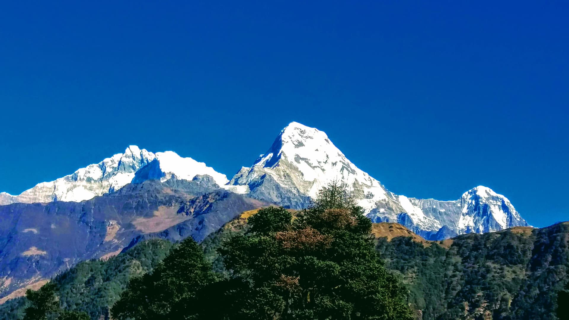 Annapurna Region (10 - 14 Days) | Nepal View Treks Annapurna Region | Nepal View Treks